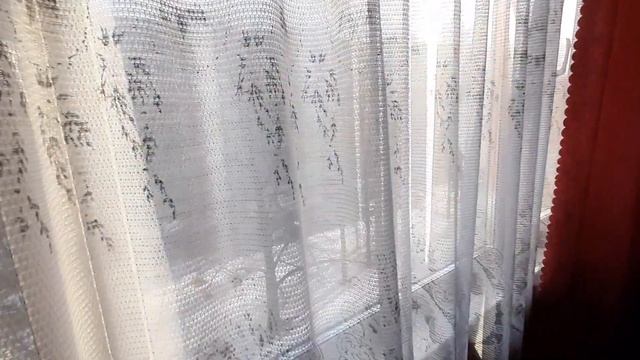 3-комнатная квартира по адресу: Санкт-Петербург, Приморский район, Парашютная ул., 4, к.1(аренда) смотреть онлайн