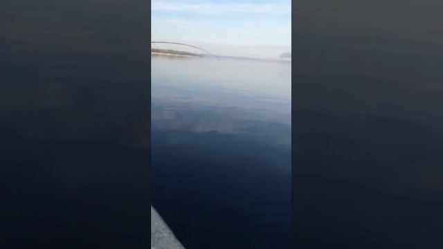 Щука..энгельс..стенка 15.05.15 смотреть онлайн