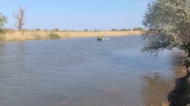 Riverboat Navigator 42 Чачамба смотреть онлайн