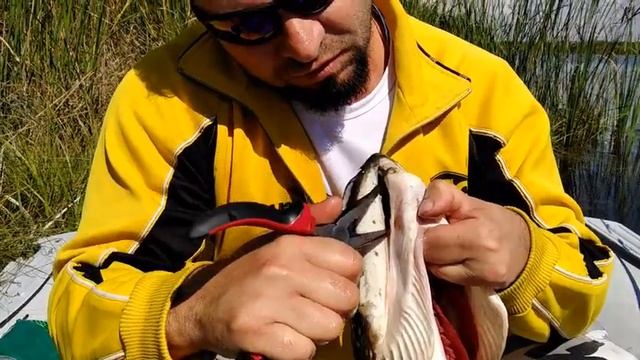 Как правильно цеплять щуку на кукан? Как сохранить рыбу на рыбалке? смотреть онлайн