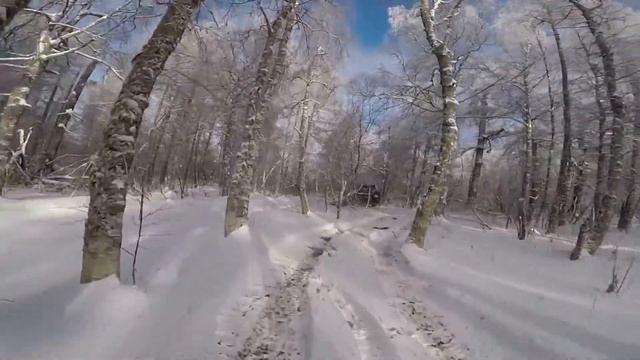 Видео #1. Шатак 2017.превью смотреть онлайн
