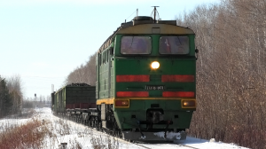 2ТЭ116-1411 секция Б с грузовым поездом следует через о.п. 117 км