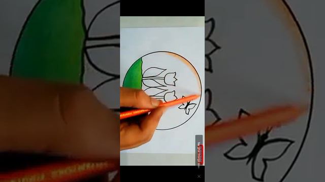 India flag colour lotus drawing смотреть онлайн