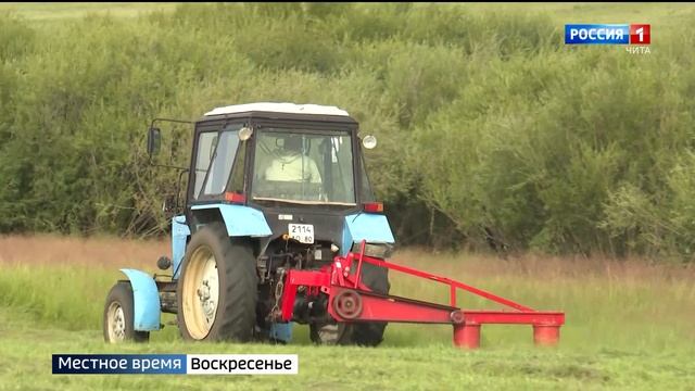 Аграрии Забайкалья отмечают День работника сельского хозяйства смотреть онлайн