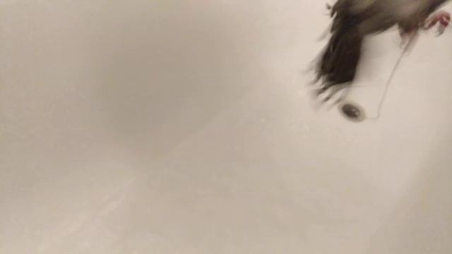 Мыть голубя под краном или в ванной нельзя? А если очень нужно? VivaVideo В тренде