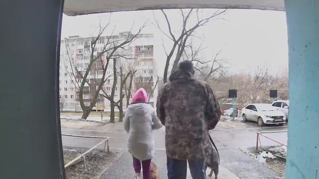 «Апрельский Freestyler»   Автор: Алексей Шубин