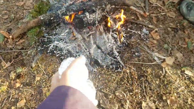 Alaska River Campfire • Spontaneous Family Trips • Костер и Реки Аляски смотреть онлайн