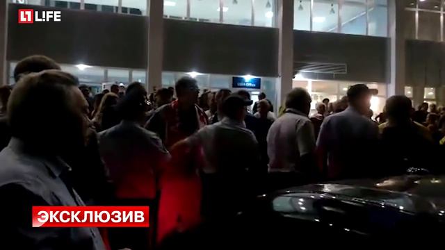 Болельщики ФК "Ростов" потребовали у губернатора области вернуть Бердыева смотреть онлайн