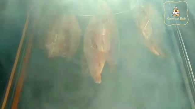 Классный момент:) холодное копчение рыбы. Спасибо большое за лайк смотреть онлайн
