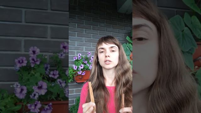 Тайны специй: что скрывает корица смотреть онлайн