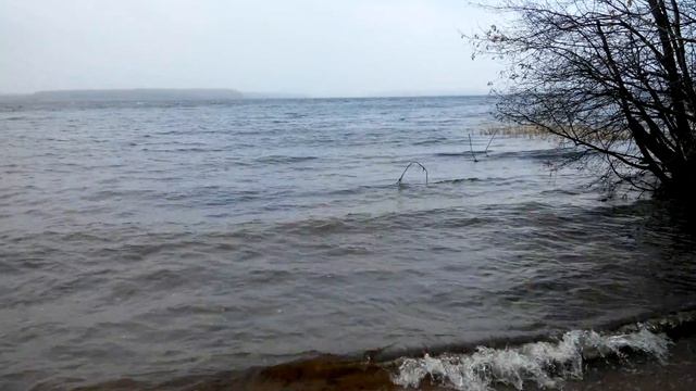 Учинское водохранилище смотреть онлайн