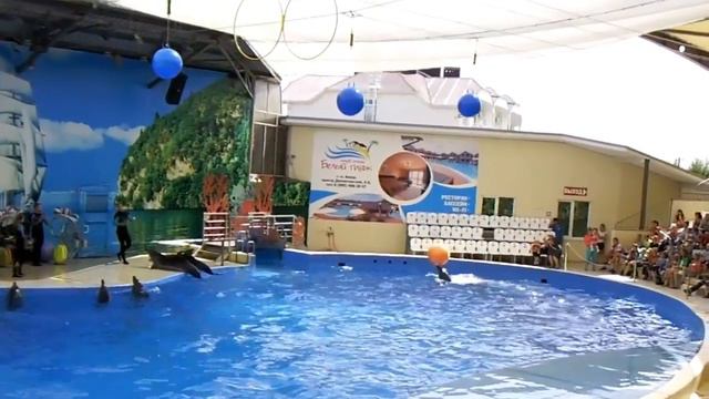 Дельфинарий Немо. Анапа. Витязево. смотреть онлайн