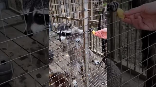 27 мая 2023 г. смотреть онлайн