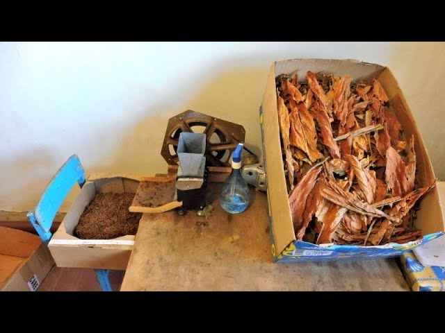 Табаководство_ Один день - от нарезки листа - до ферментации. смотреть онлайн