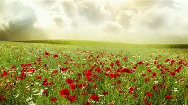 Расул Гамзатов. Читает Владислав Витковский смотреть онлайн