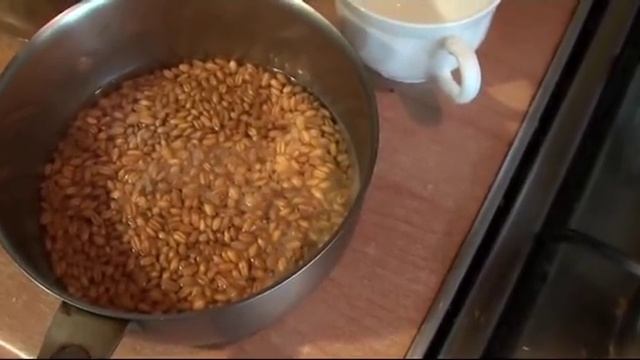 Рыба в Центре Внимания