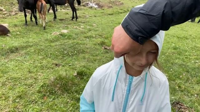 Жизнь табуна кабардинских лошадей. Конезаводчики Шогеновы / Ляна Джэнкс смотреть онлайн