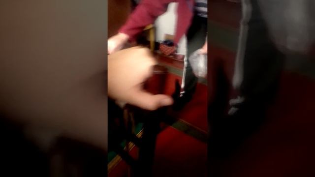 Кот Сеня Стоит На Задних Лапах смотреть онлайн