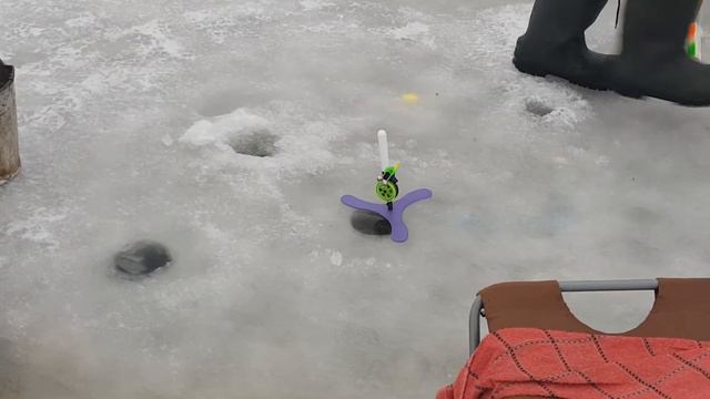 2 февраля 2020 г. смотреть онлайн