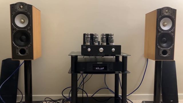 Paradigm Reference Studio 40 V4