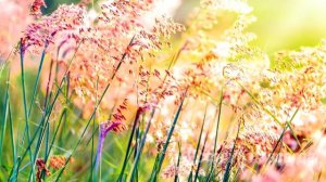 Выметайся, муж выгнал жену на мороз, но главный сюрприз ее ждал впереди…