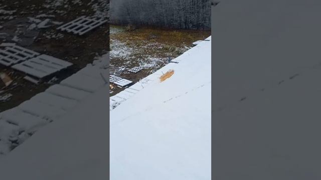 первый снег нижний новгород ??? смотреть онлайн