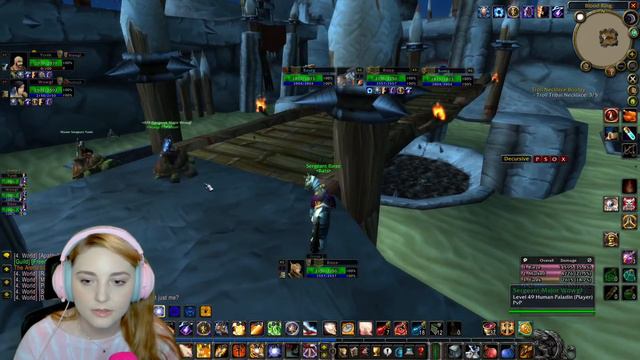 Turtle WoW Tel'Abim - Lvl 45 Holy Paladin Gameplay (Healer)