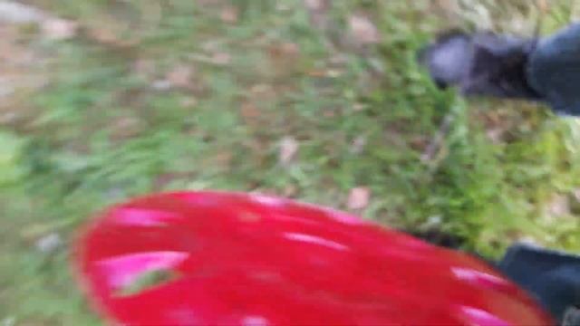 Нашёл колпак.