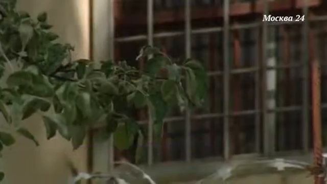 Мажоры рулят смотреть онлайн