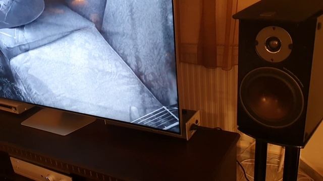 Dali Oberon 3                                    Exposure 3010 S2d