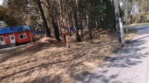 Сосновый бор и горячий источник в Ялуторовске !