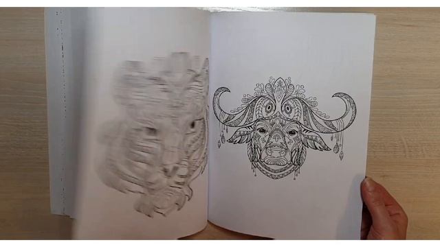 Обзор раскраски " Волшебные существа" самая таинственная раскраска ?#хобби #обзор смотреть онлайн