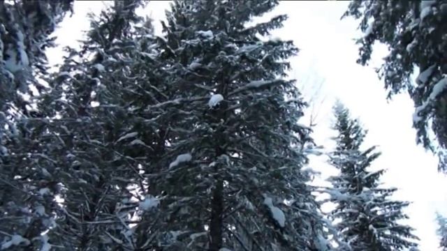 За трофейной щукой. Неудачный поход. смотреть онлайн