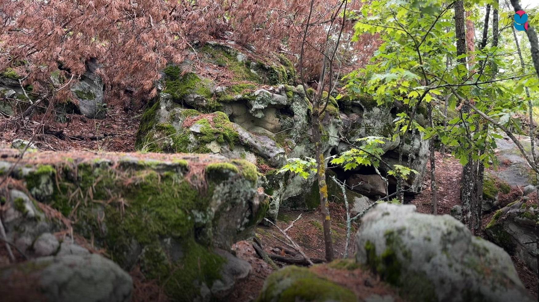 Рачейские Альпы. Одно из самых красивых и загадочных мест смотреть онлайн
