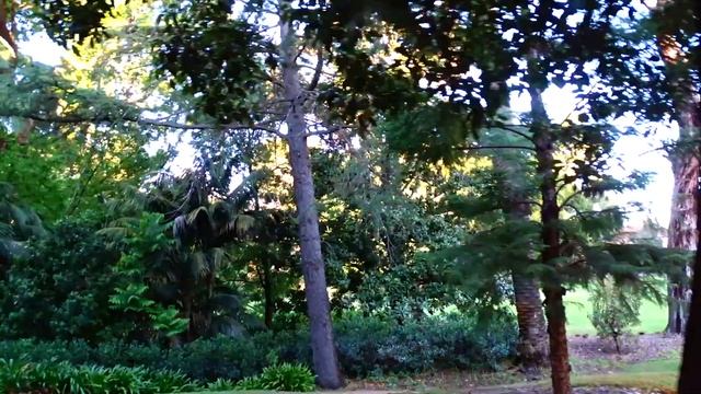 ВЕЛОПРОГУЛКА по УНИВЕРСИТЕТУ ЗАПАДНОЙ АВСТРАЛИИ - #UWA смотреть онлайн