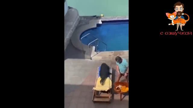 ПРИКОЛЫ С КОТАМИ! С озвучкой! Смешные Коты и Собаки! Самые Смешные Животные!