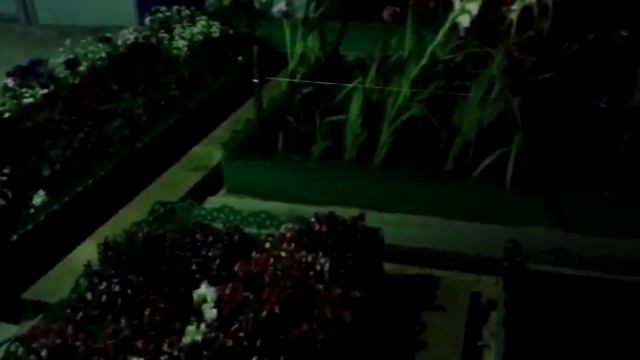"регги в ночи" смотреть онлайн