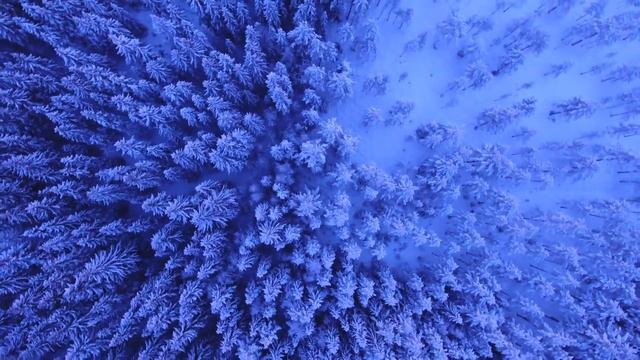 4 декабря - Важное время, которое все обновляет | Лунный Календарь