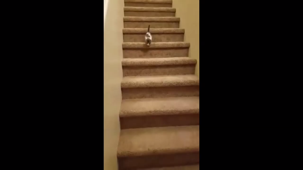 Жесткий спуск смотреть онлайн