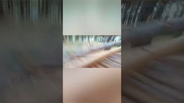 КОП НА ПОЛЯХ ЛЕСАХ ,ЗАБРОШЕНАЯ ДЕРЕВНЯ СЕКТАНТОВ!!! смотреть онлайн