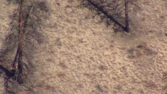 6.5-284 Norma 1480 yards смотреть онлайн