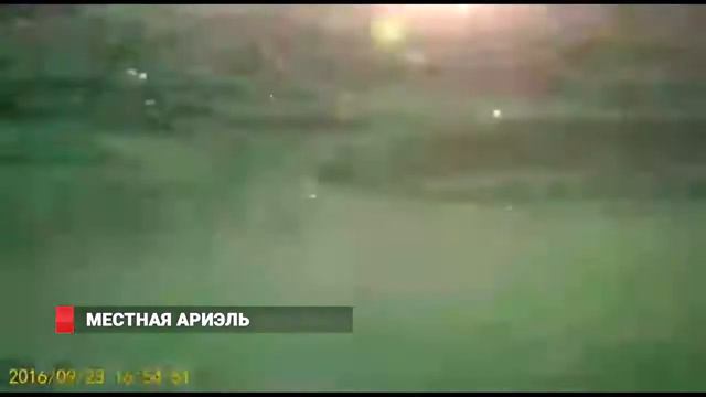 "Бантик": Настоящую русалку обнаружили во Владивостоке смотреть онлайн