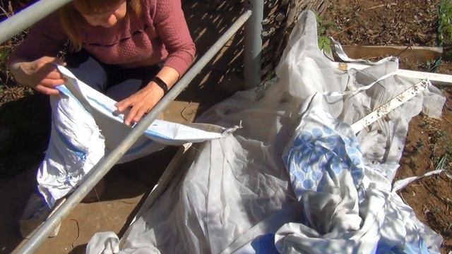 ПРАЗДНИКИ НА ДАЧЕ ПОСАДИЛИ ЛУК ЭКСИБИШЕН смотреть онлайн