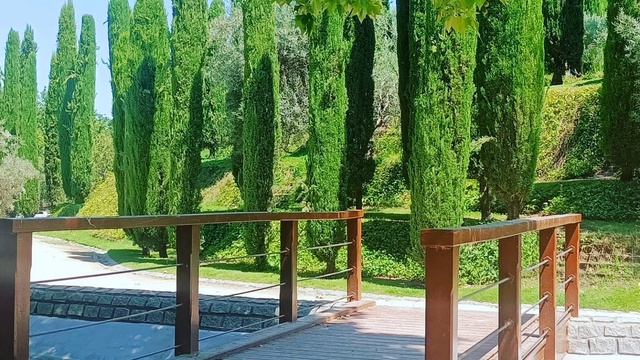 Чего Вы не замечали в парке Ретиро в Мадриде смотреть онлайн