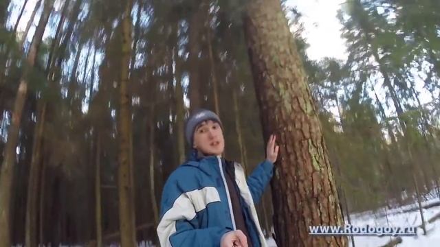 Где можно взять энергию Конечно же в лесу [Родогой Орлов] смотреть онлайн
