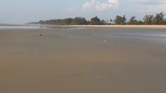Cavelossim beach in Goa смотреть онлайн