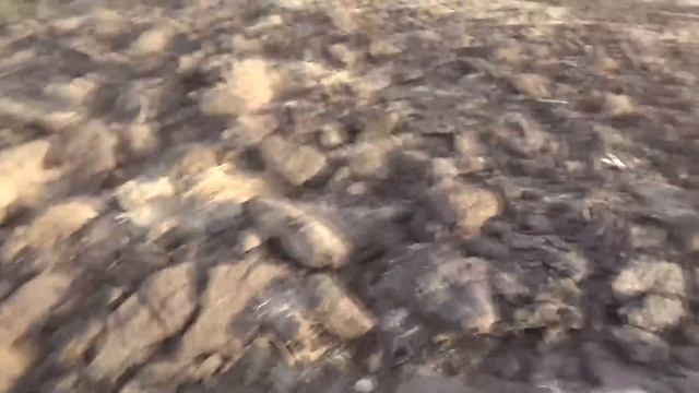 Купил Суданскую траву и кострец, буду сеть дома. смотреть онлайн