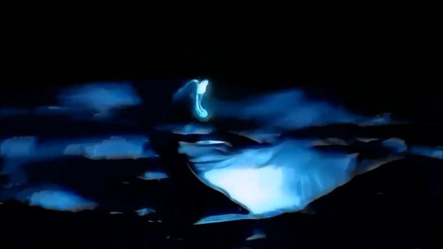 Интро к песне  "Дикие птицы", автор Татьяна Романова. автор видео -КИра. смотреть онлайн