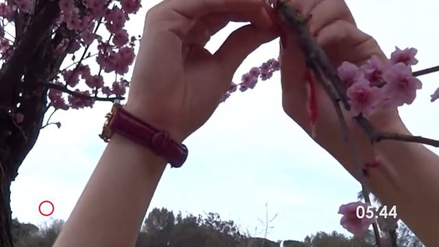 Жизнь и быт Бессарабских Болгар смотреть онлайн