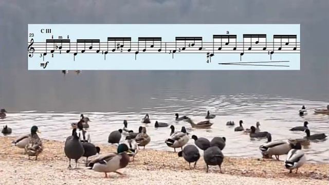 Matteo Carcassi, op. 60 n. 7 смотреть онлайн